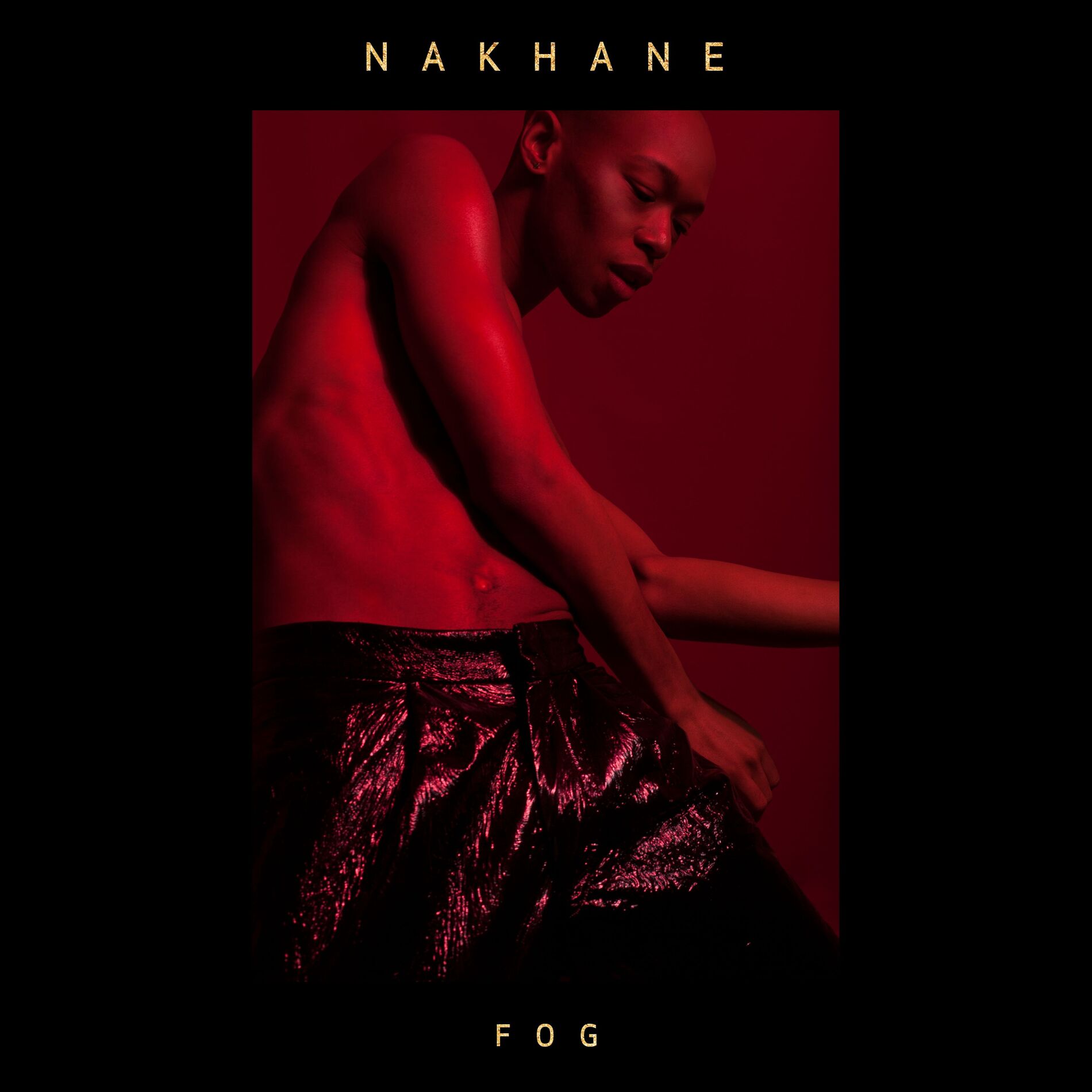Album cover of Fog