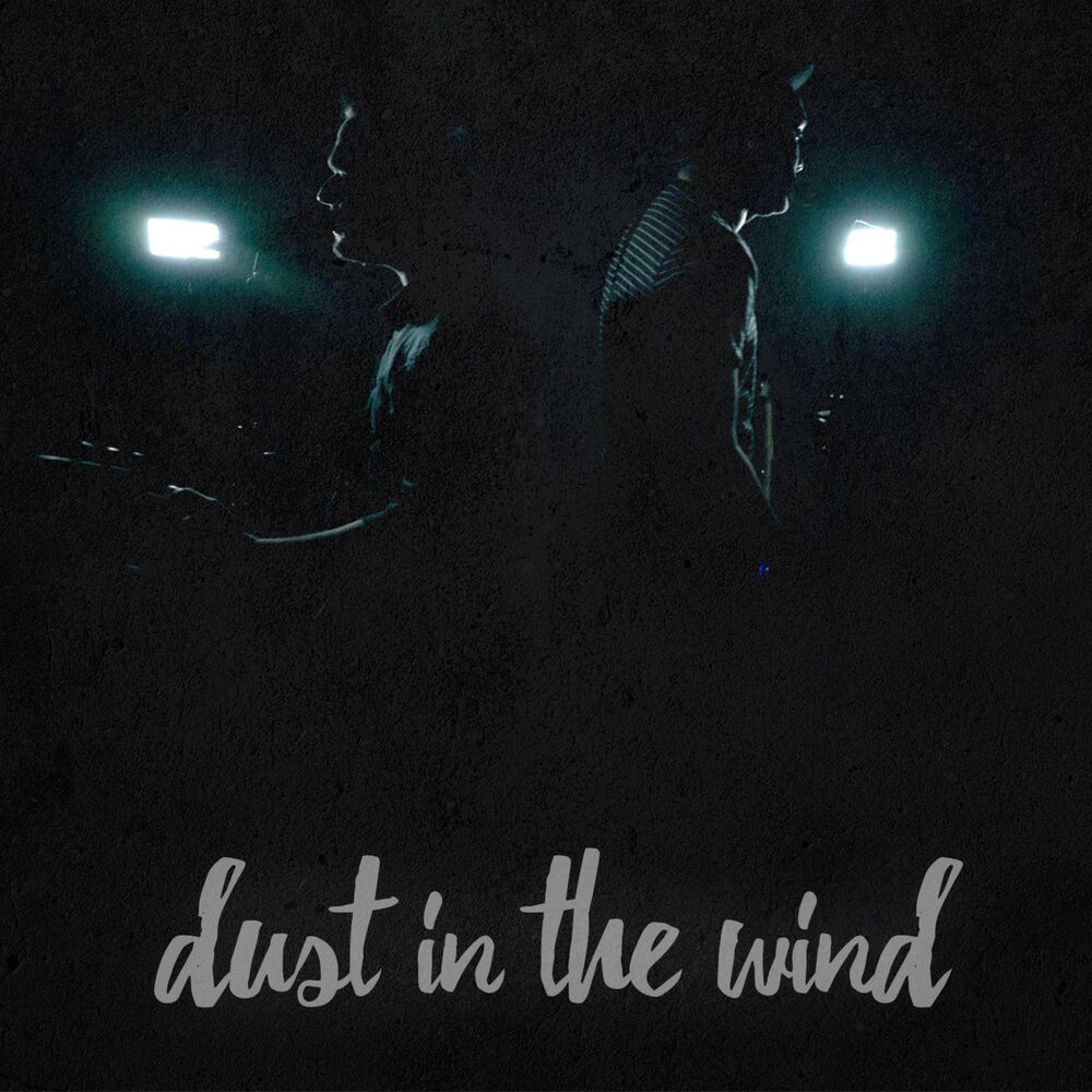 Picture of Dust in the Wind