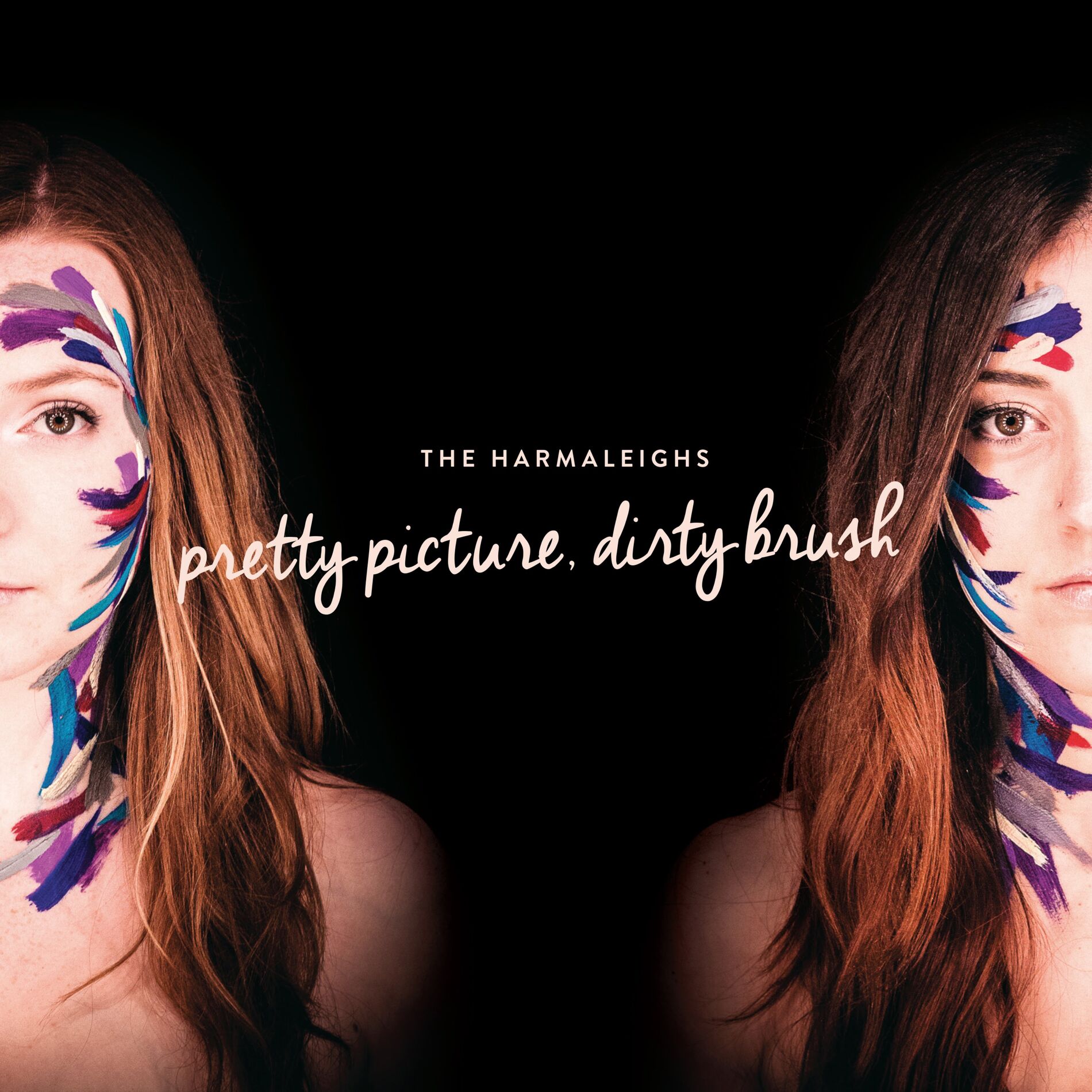 Album cover of Pretty Picture, Dirty Brush
