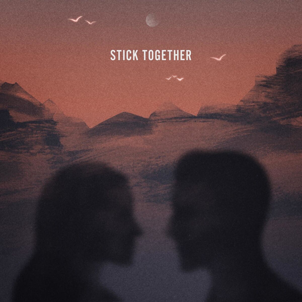 Album cover of Stick Together
