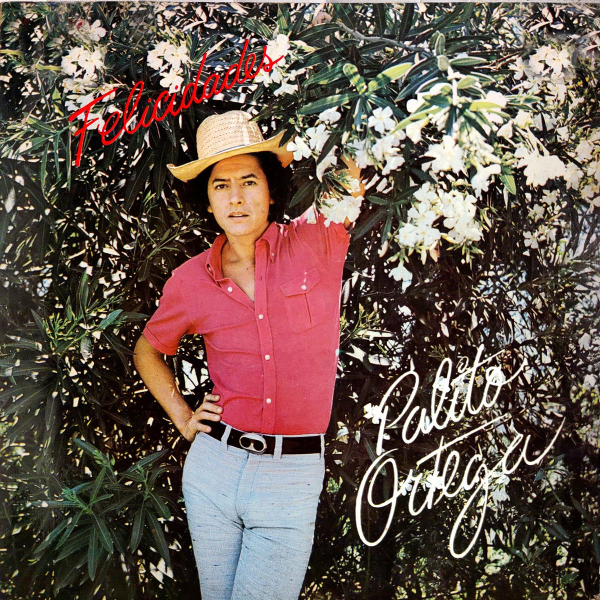 Album cover of Felicidades