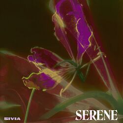 Cover of Serene