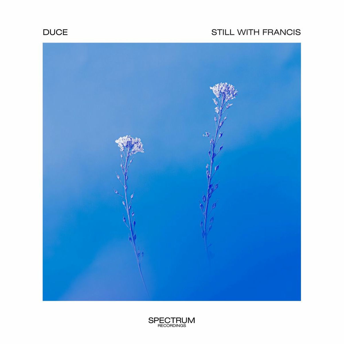 Album cover of Still With Francis