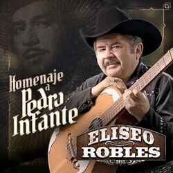 Cover of Homenaje a Pedro Infante