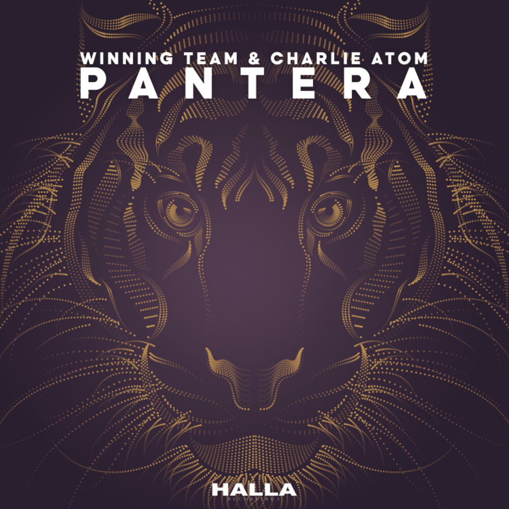 Picture of Pantera