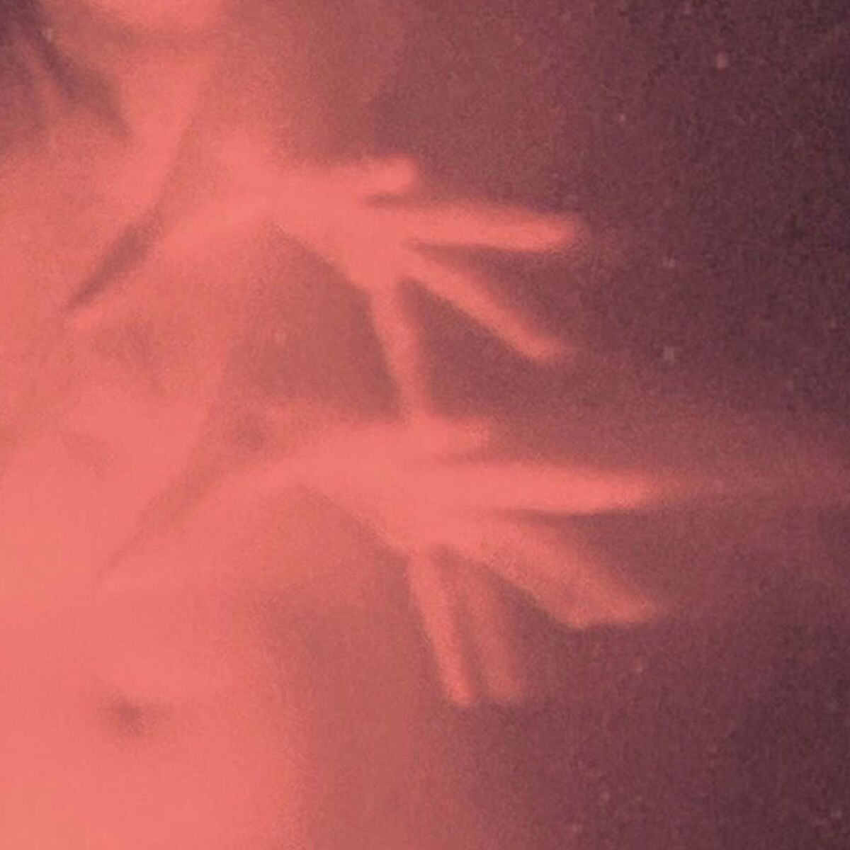 Album cover of Bound by the Horror