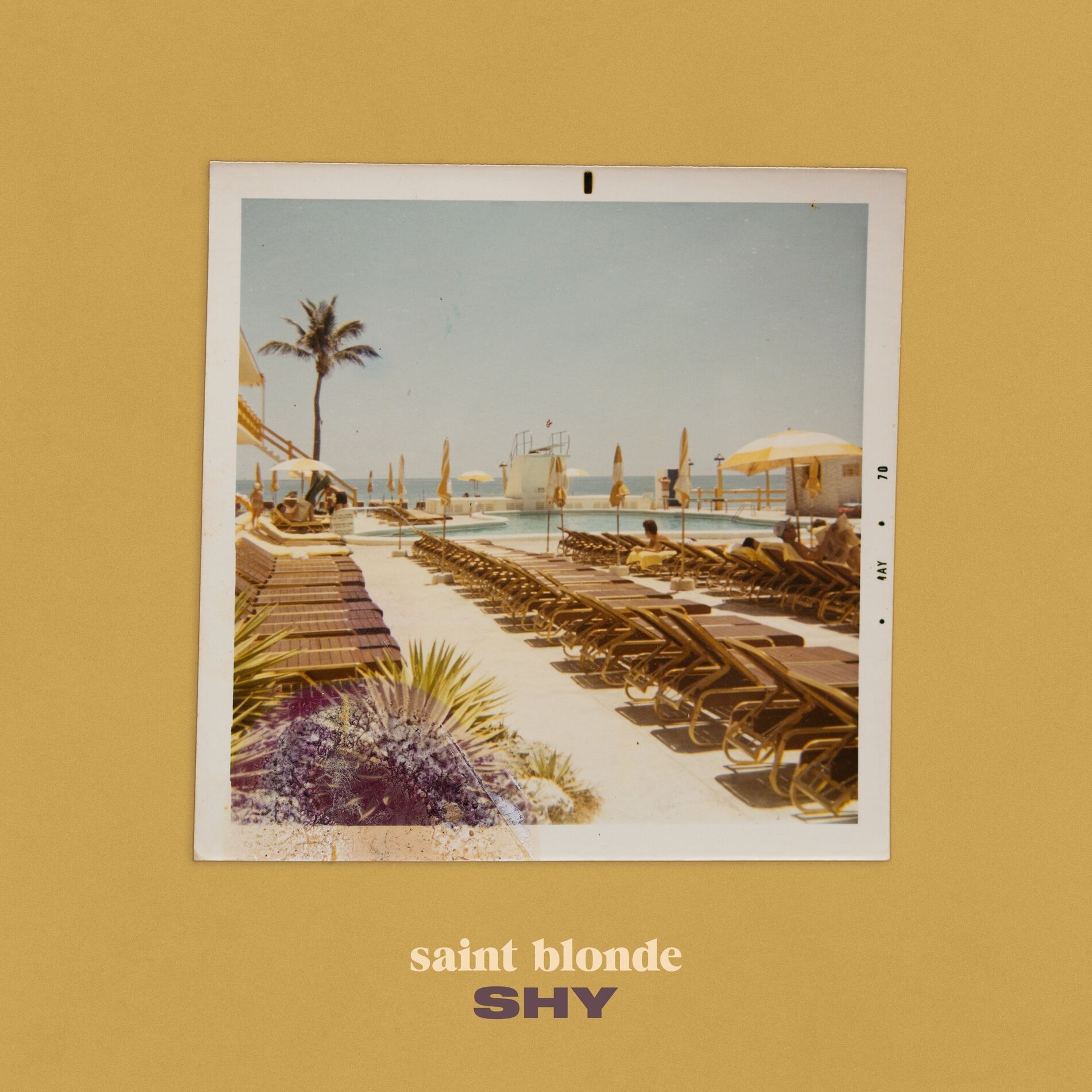 Album cover of Shy