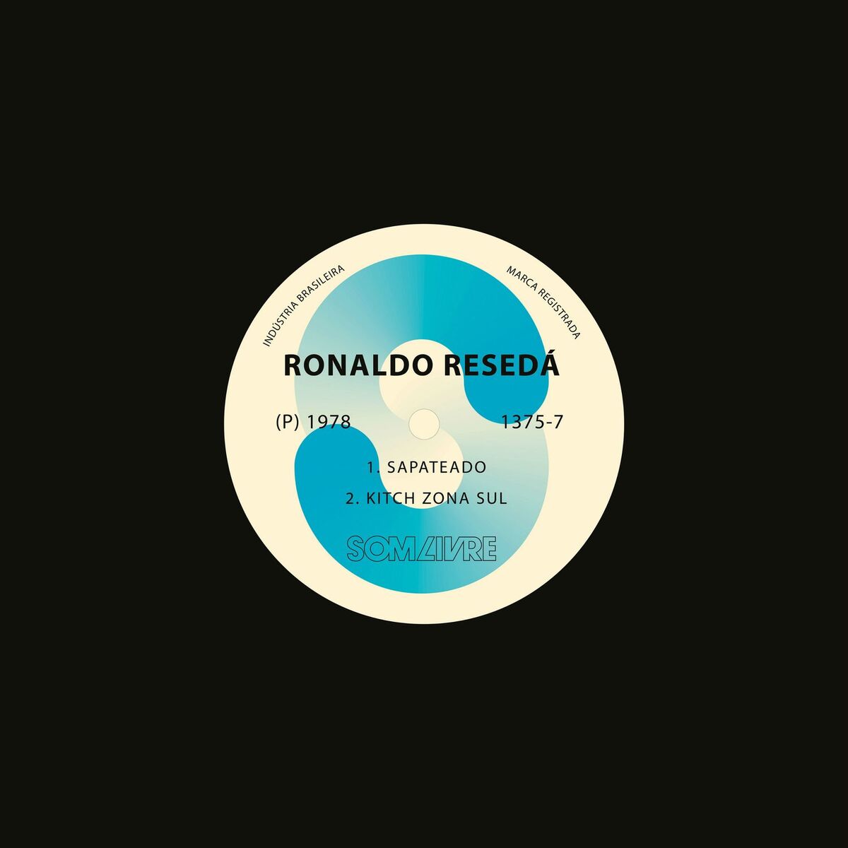 Album cover of Kitch Zona Sul