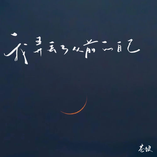 我弄丢了从前的自己 (加速版)