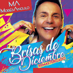 Cover of Brisas de Diciembre (Remasterizado)