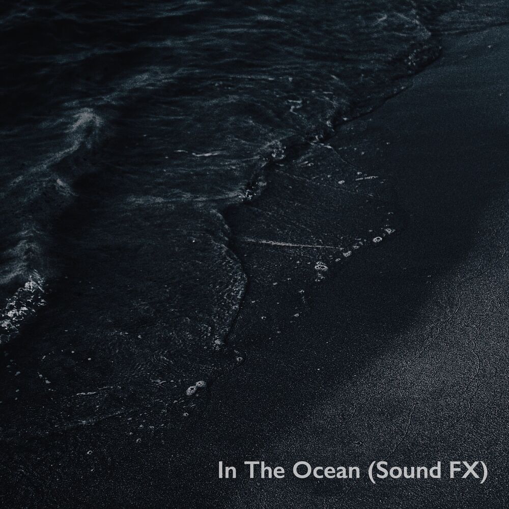 Picture of Wave Sounds From Scandinavia