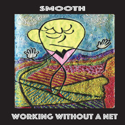 Cover of Working Without a Net