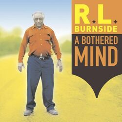 Cover of A Bothered Mind