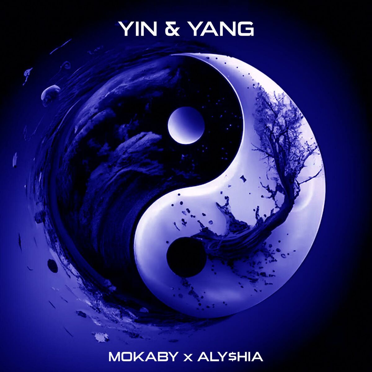 Album cover of YIN & YANG