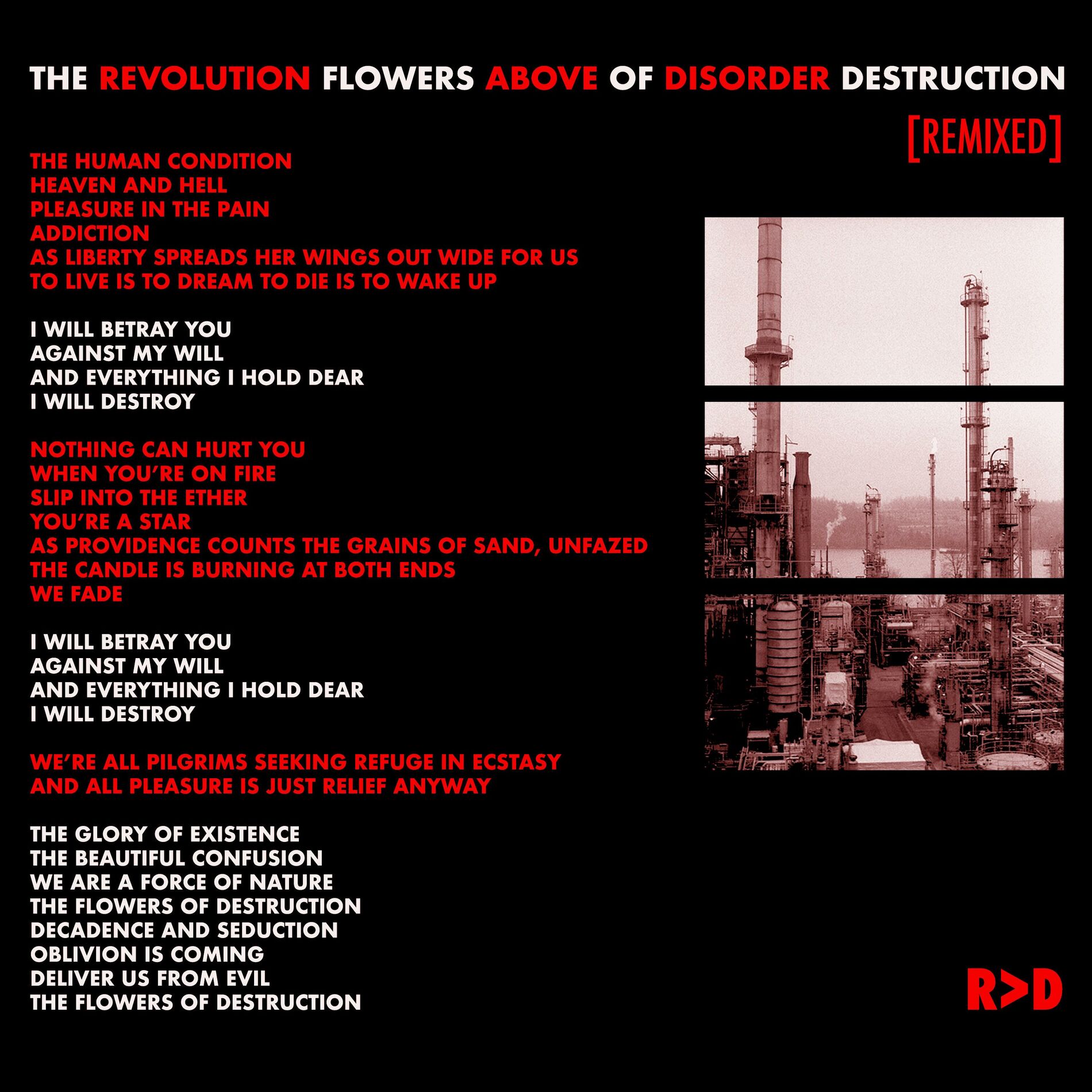 Album cover of The Flowers of Destruction (Remixed)