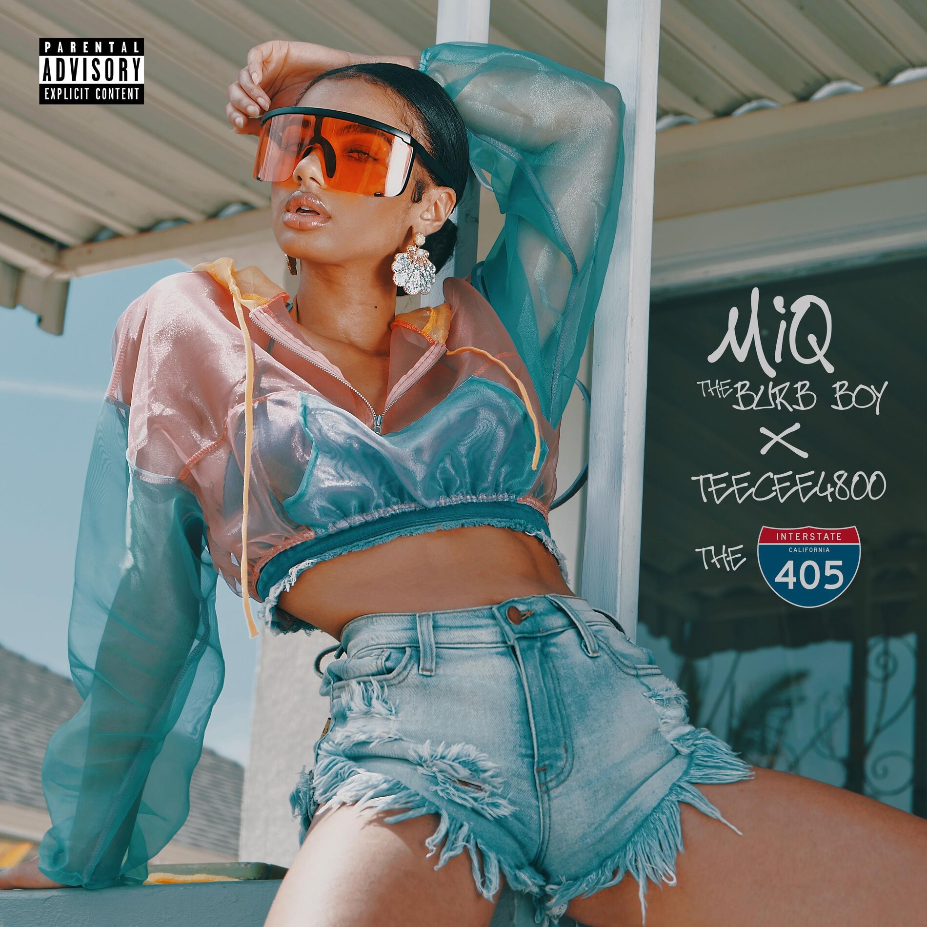 Album cover of The 405 (feat. Teecee4800)