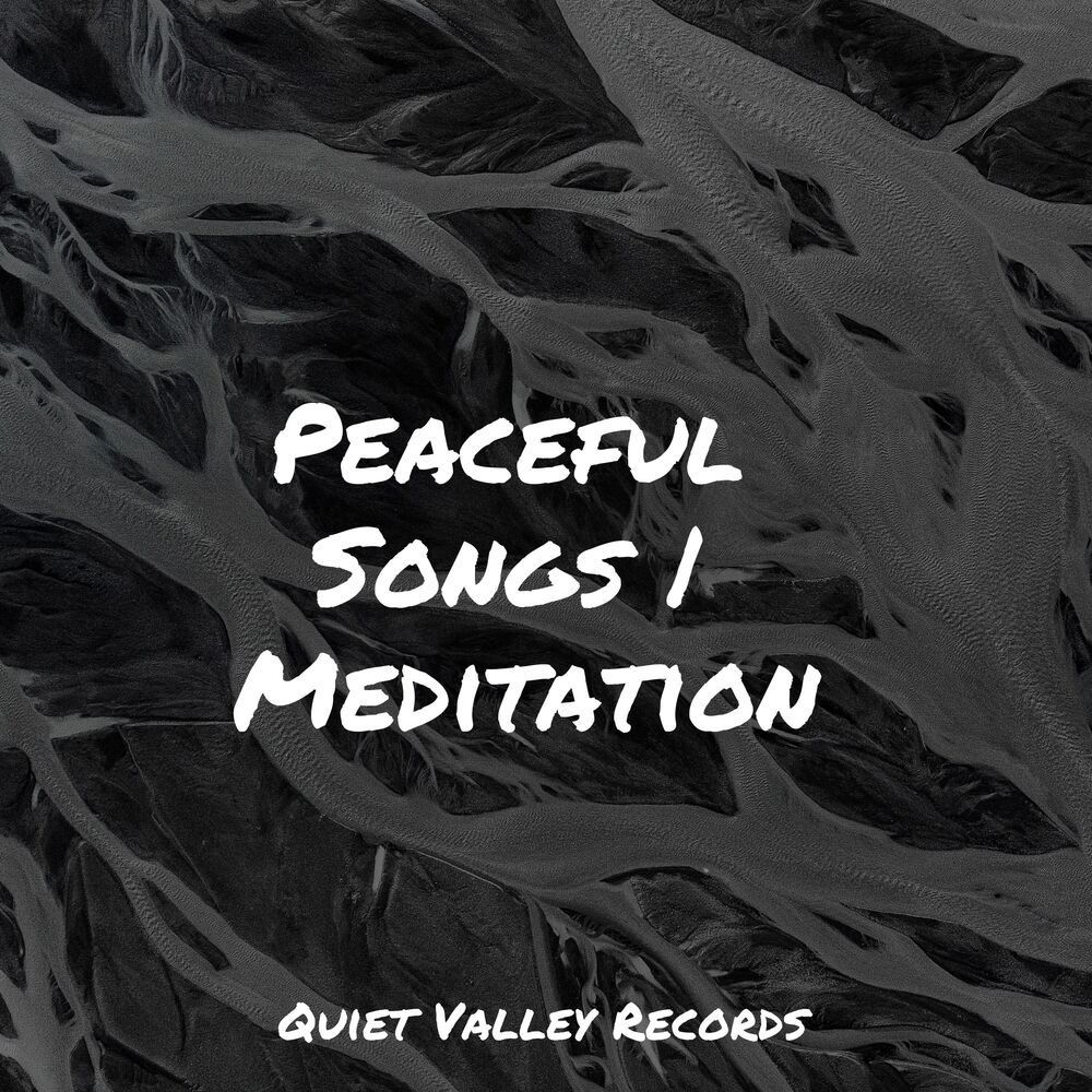 Picture of Peaceful Songs | Meditation