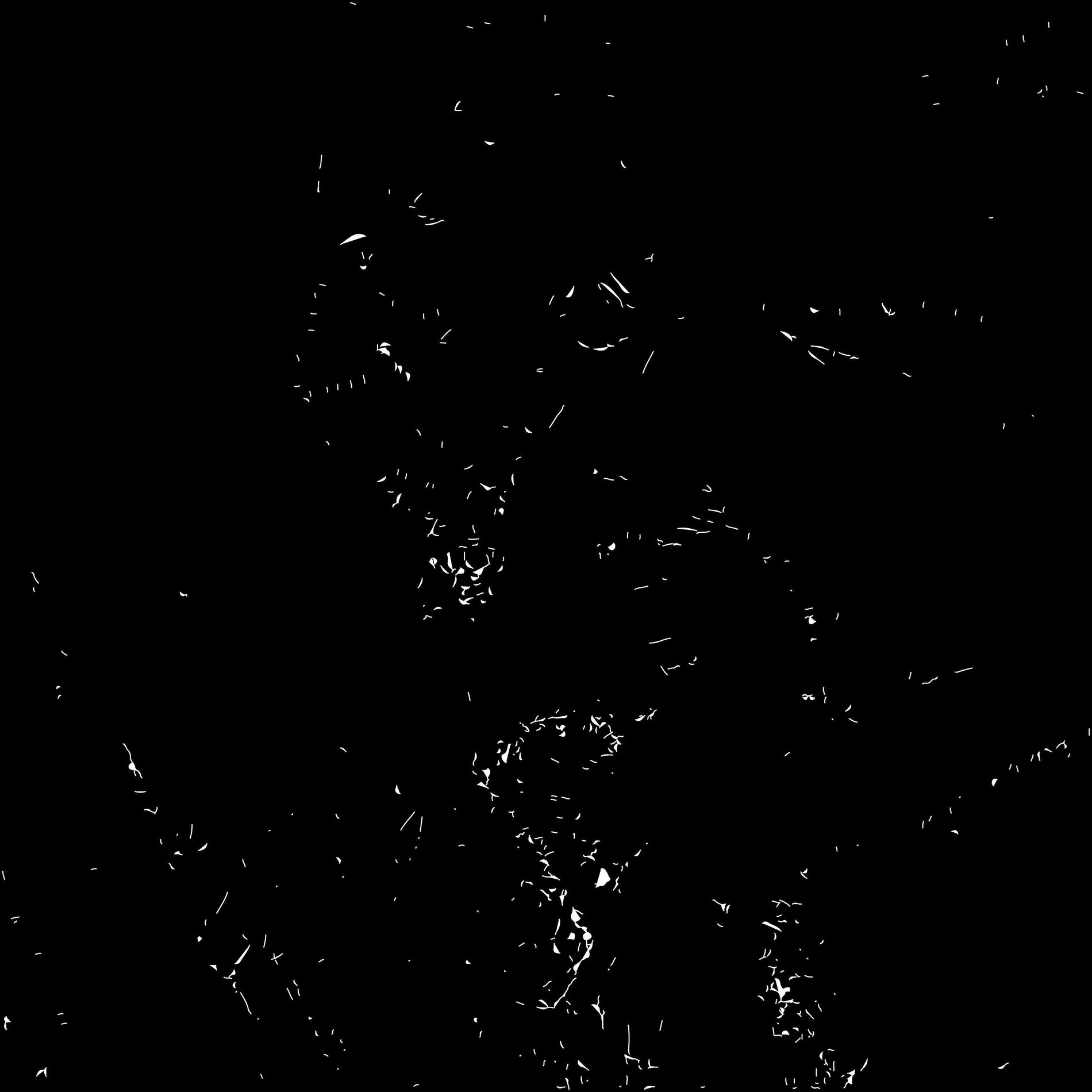 Album cover of Everything for You (Roderic Remix)