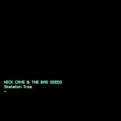 Cover of Skeleton Tree