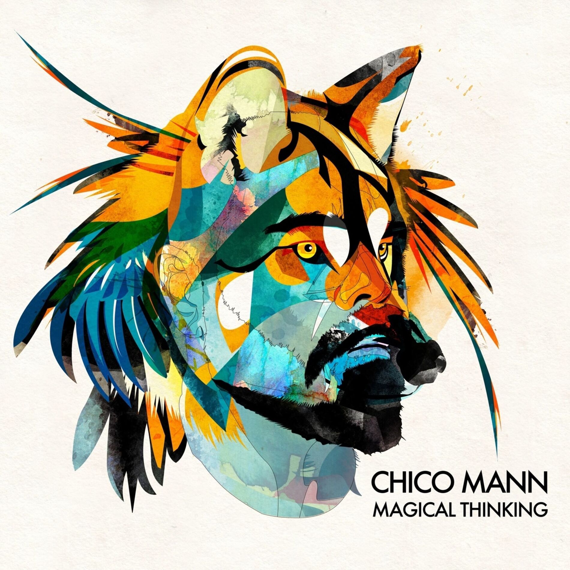 Album cover of Magical Thinking
