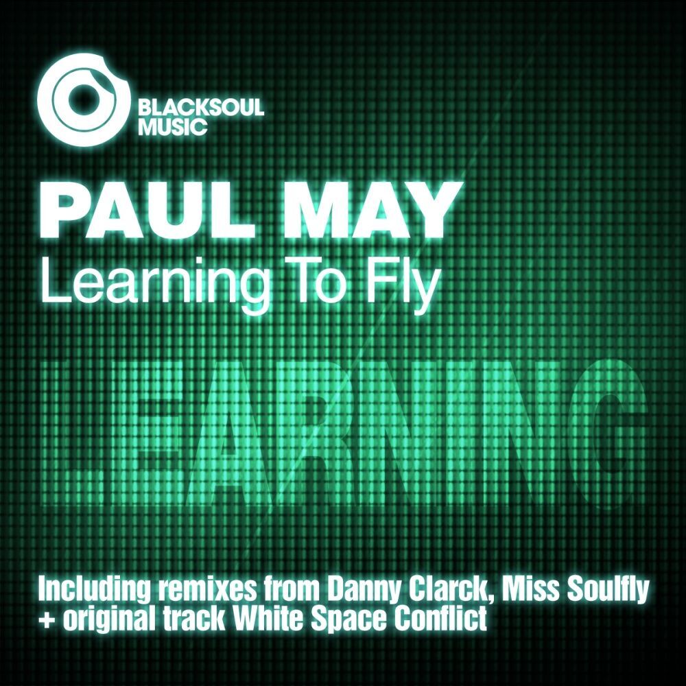 Picture of Learning To Fly