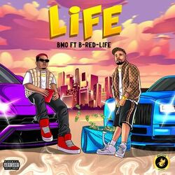 Cover of Life