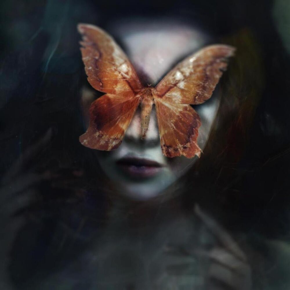 Picture of Icarus (feat. CoMa)