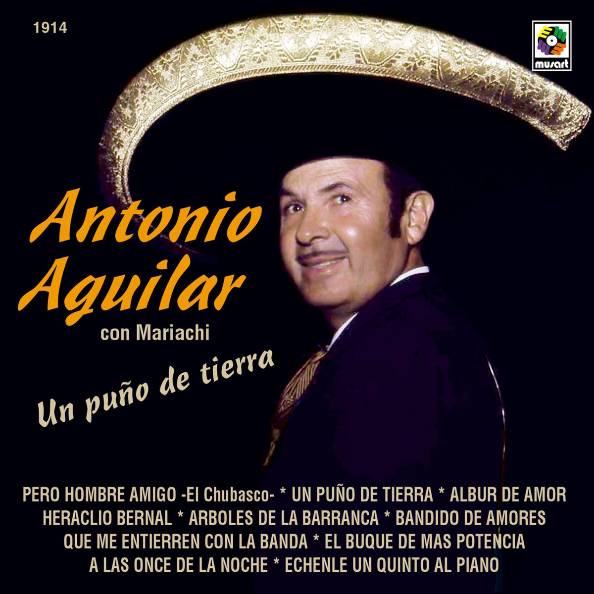 Album cover of Un Puño De Tierra