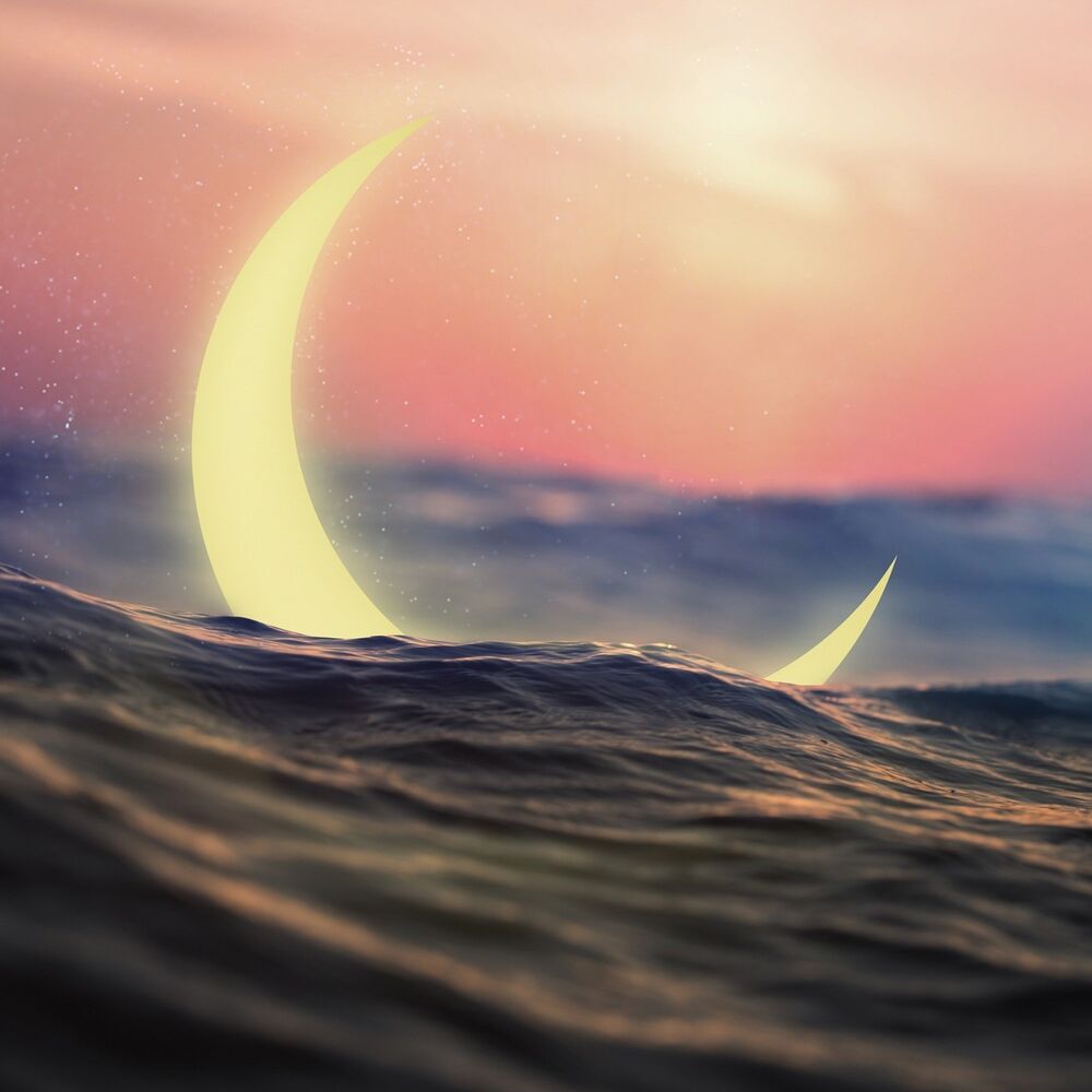 Picture of Sweet Dreams