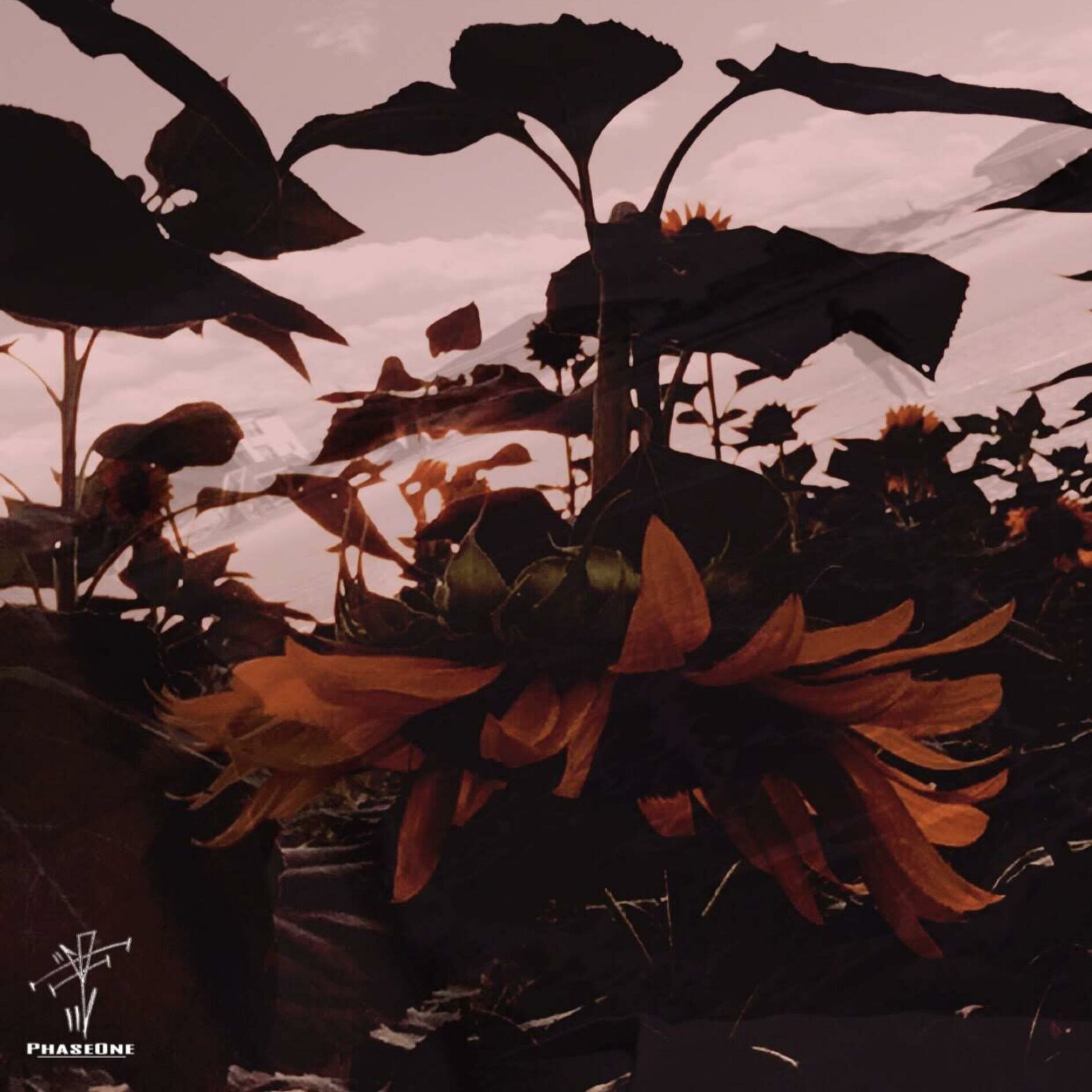 Album cover of -Verano-