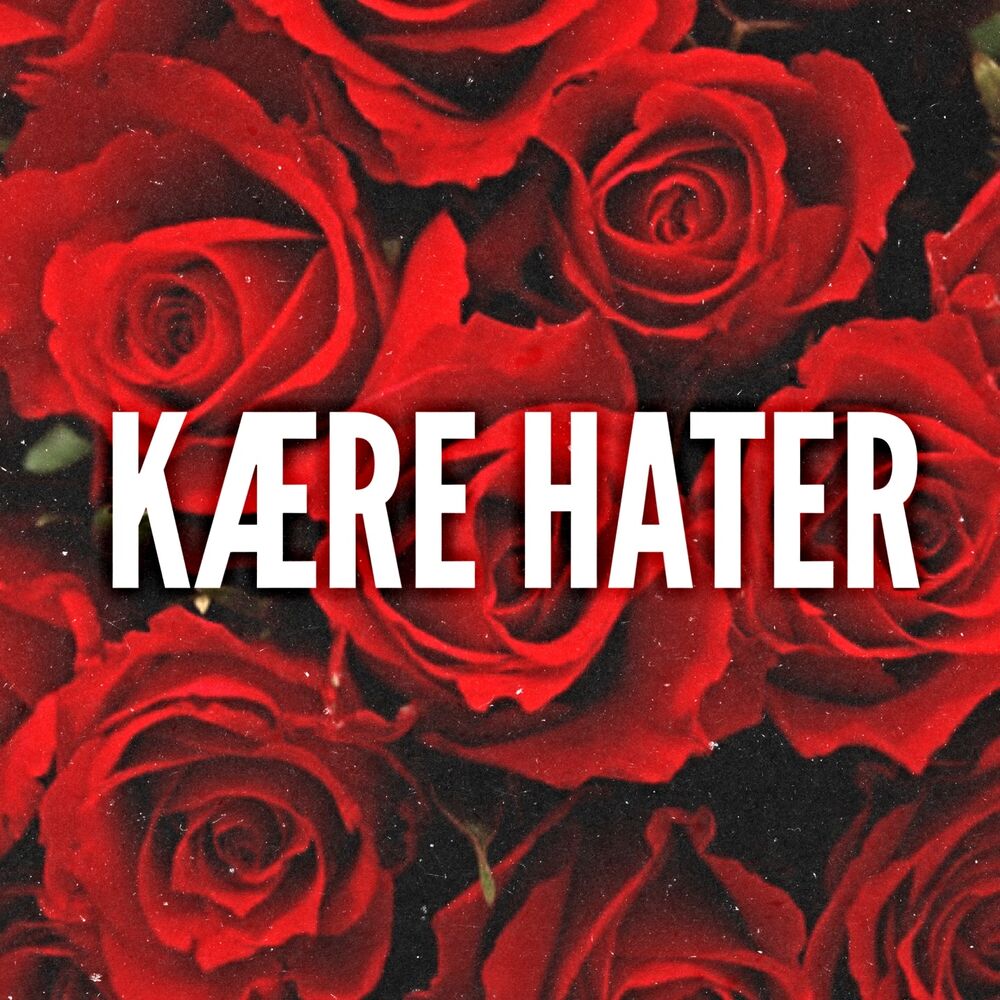Picture of Kære Hater