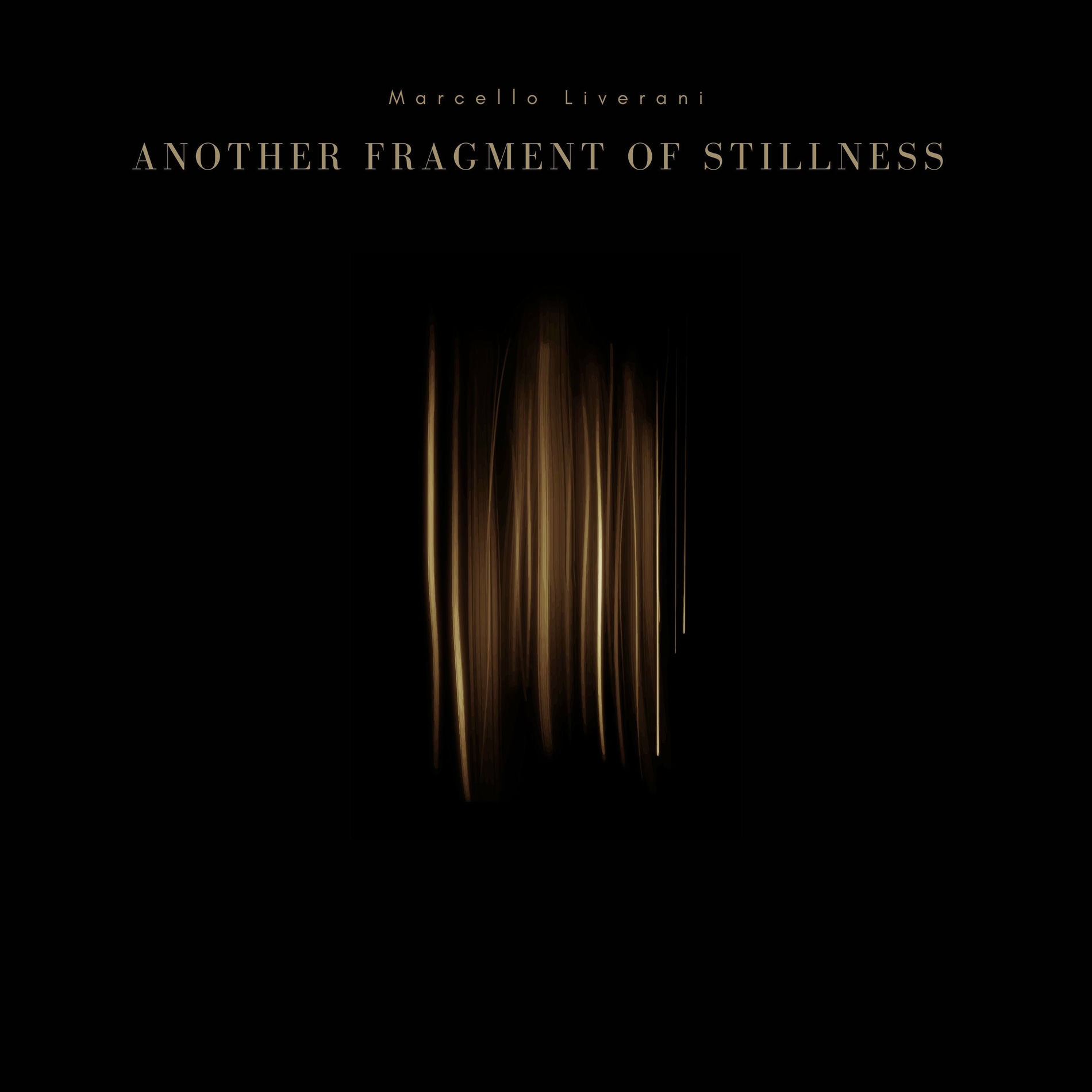Album cover of Another Fragment Of Stillness