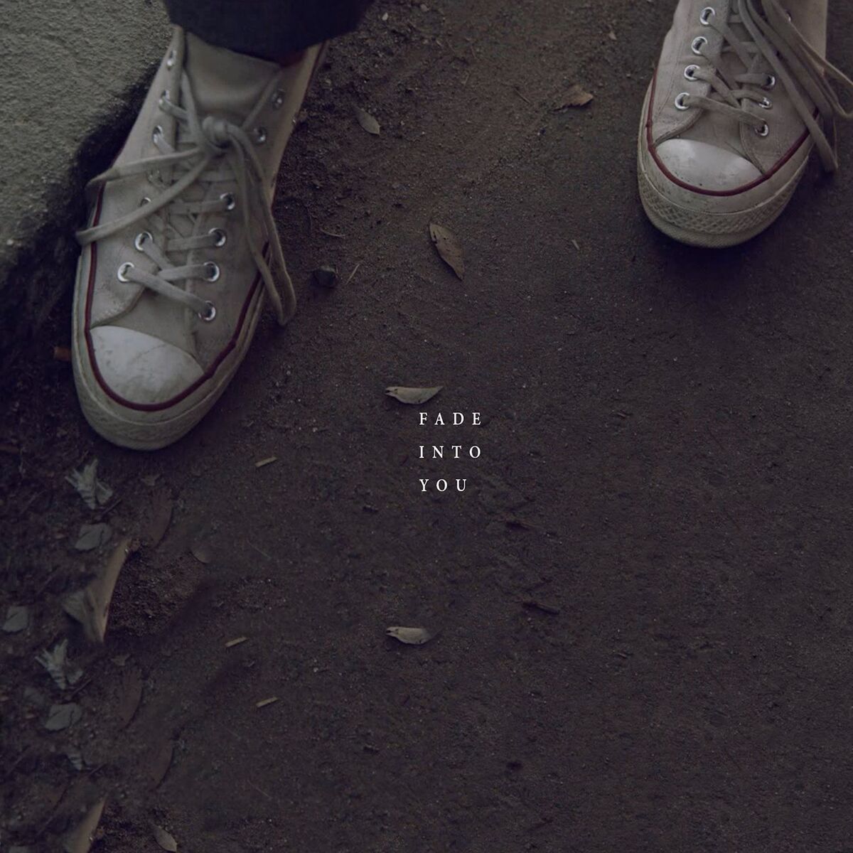 Album cover of Fade into You