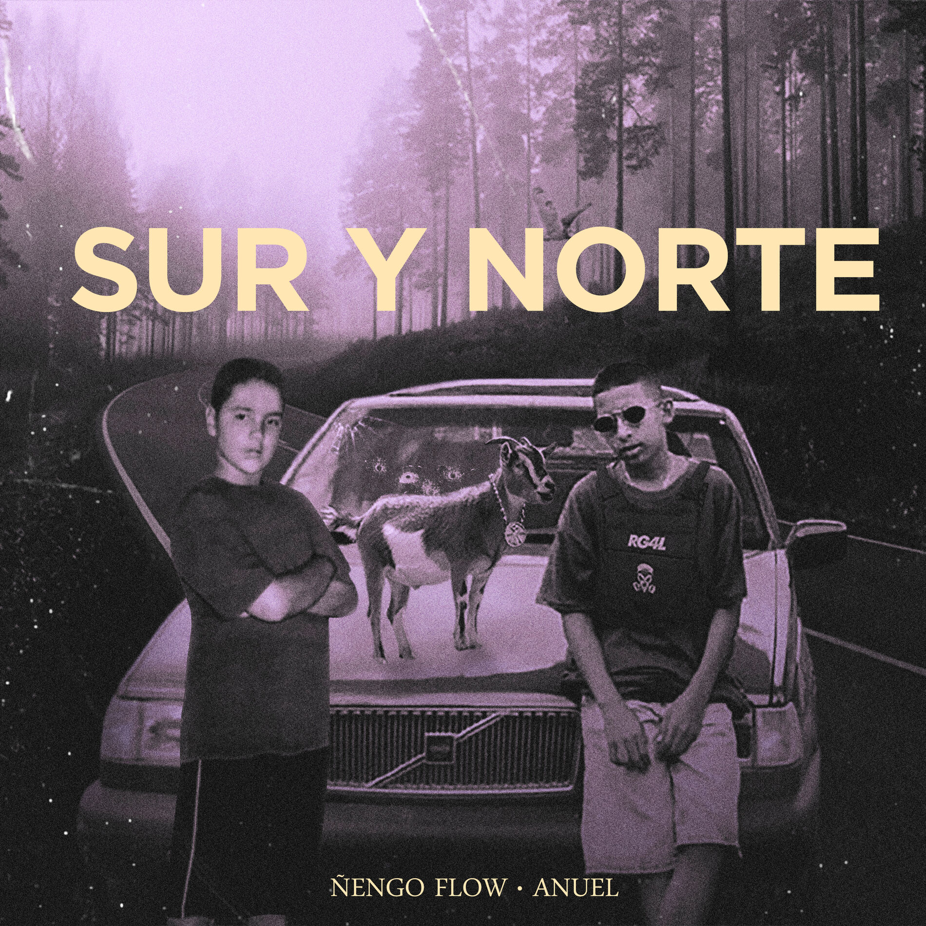 Album cover of Sur y Norte