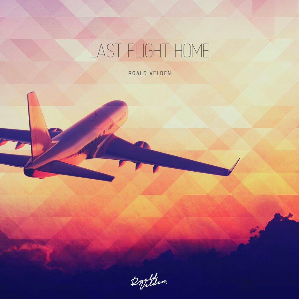 Picture of Last Flight Home