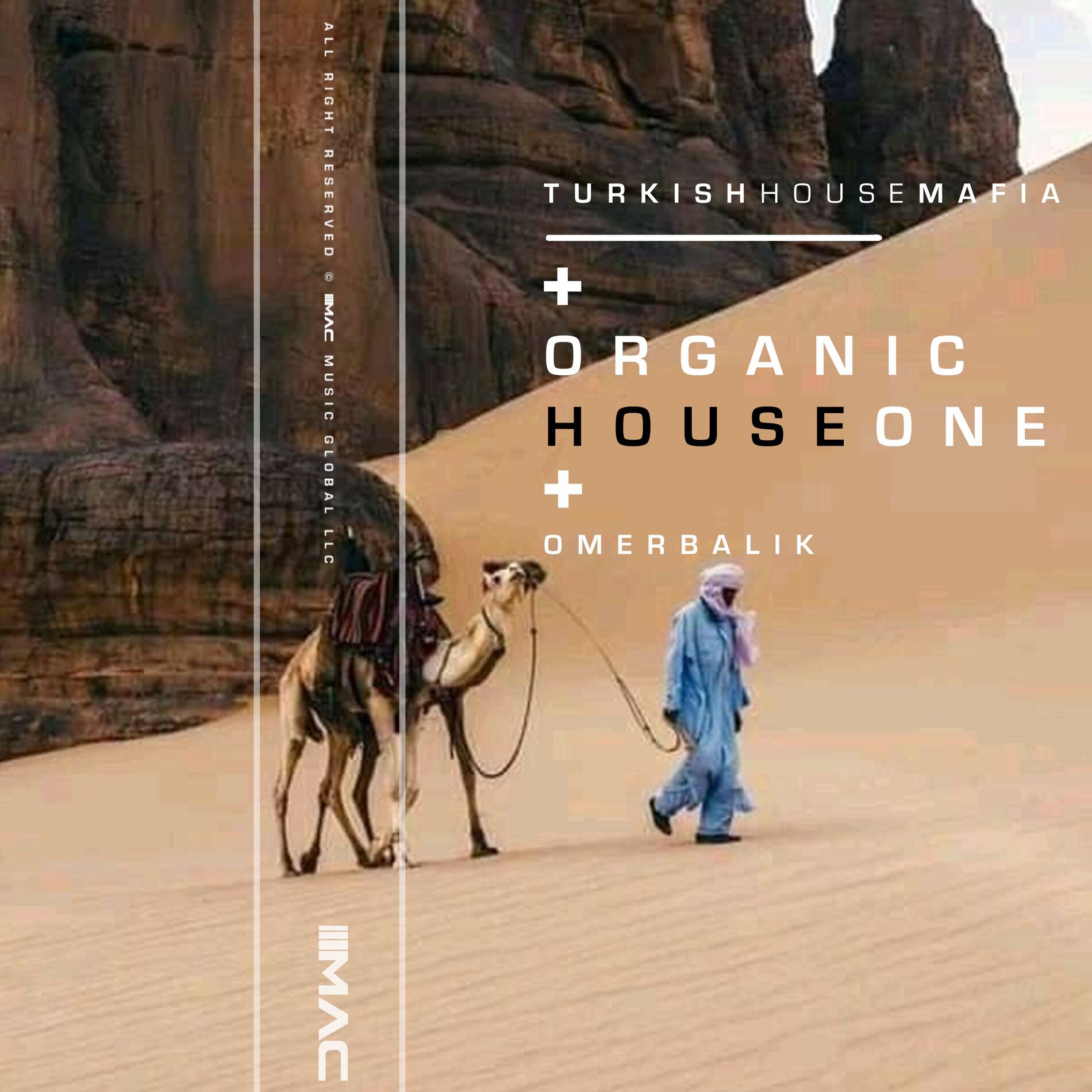 Album cover of Organic House One