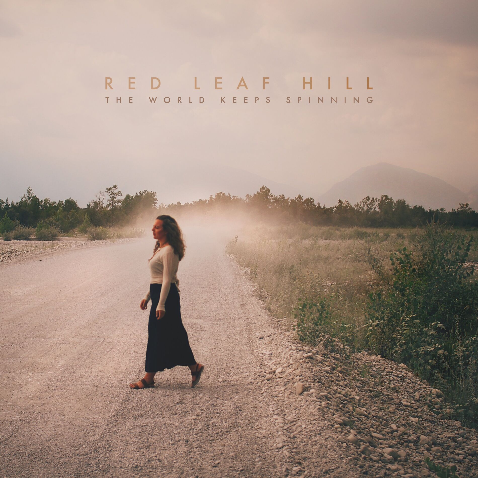 Album cover of The World Keeps Spinning