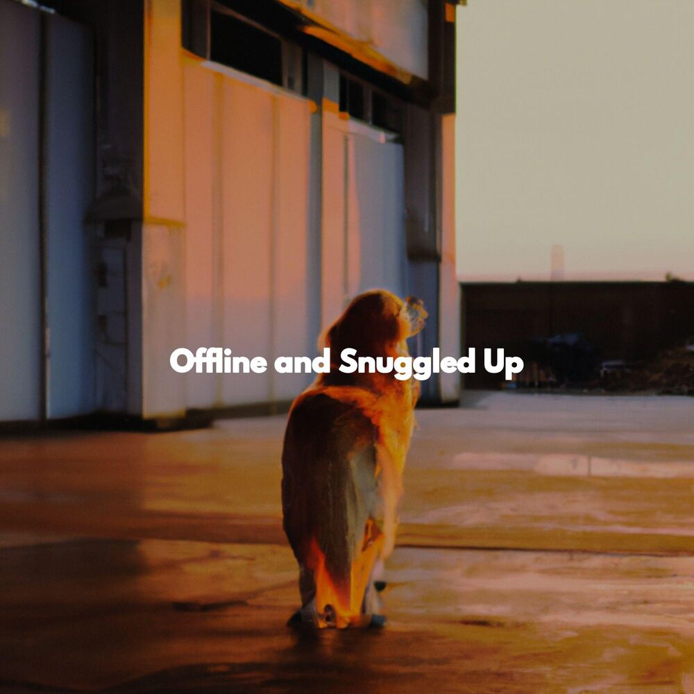 Picture of Offline and Snuggled Up