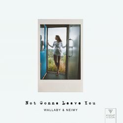 Cover of Not Gonna Leave You