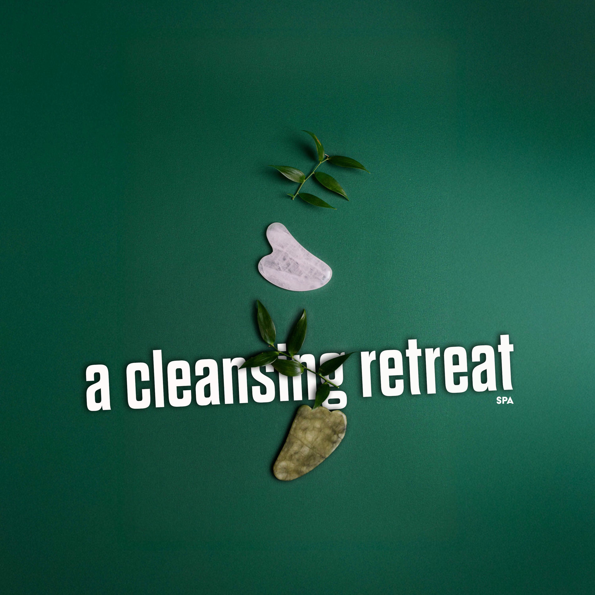 Album cover of A Cleansing Retreat