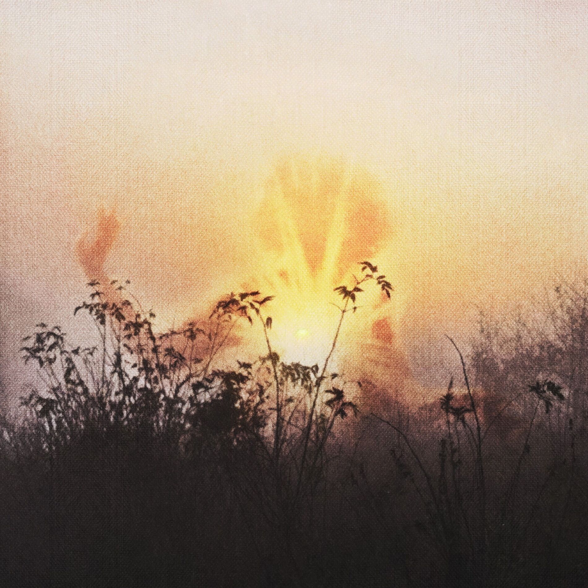 Album cover of Разбуди меня