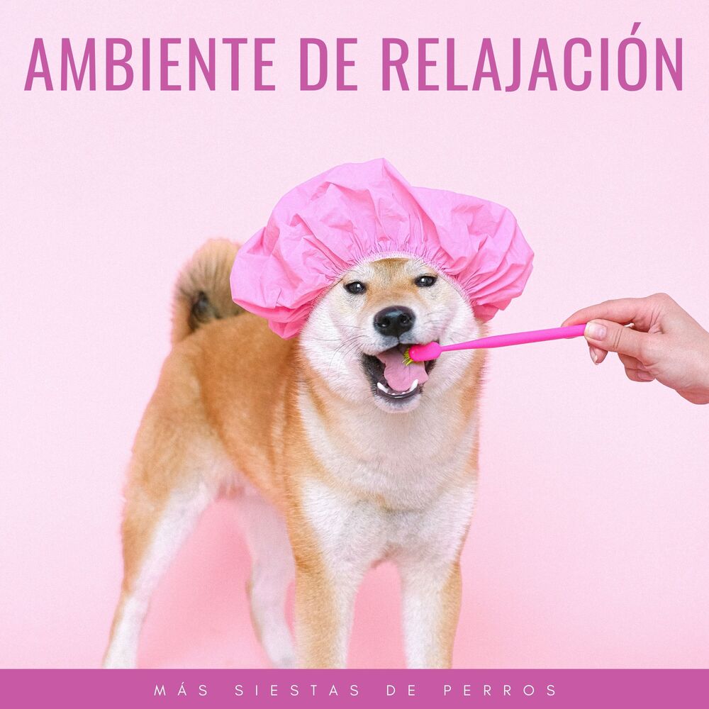 Picture of Ambiente De Relajación: Más Siestas De Perros