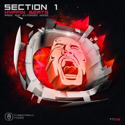 Cover of Hyppin Beats