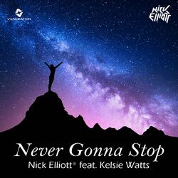 Cover of Never Gonna Stop