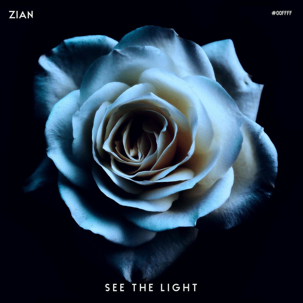 Album cover of See The Light