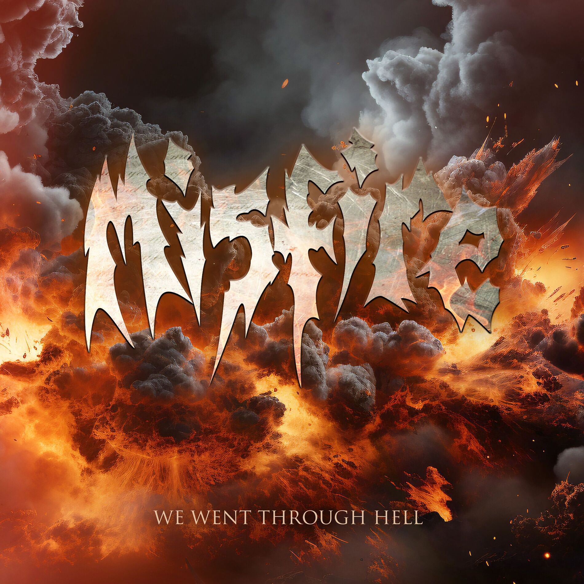 Album cover of We Went Through Hell