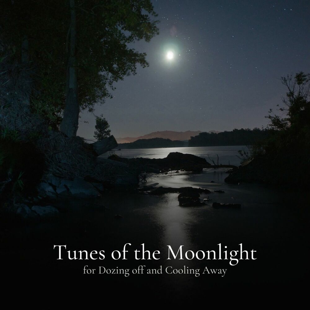 Picture of Hymn of the Night for Chasing Dreams and Stars