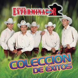 Cover of Colección De Éxitos