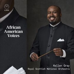Cover of African American Voices