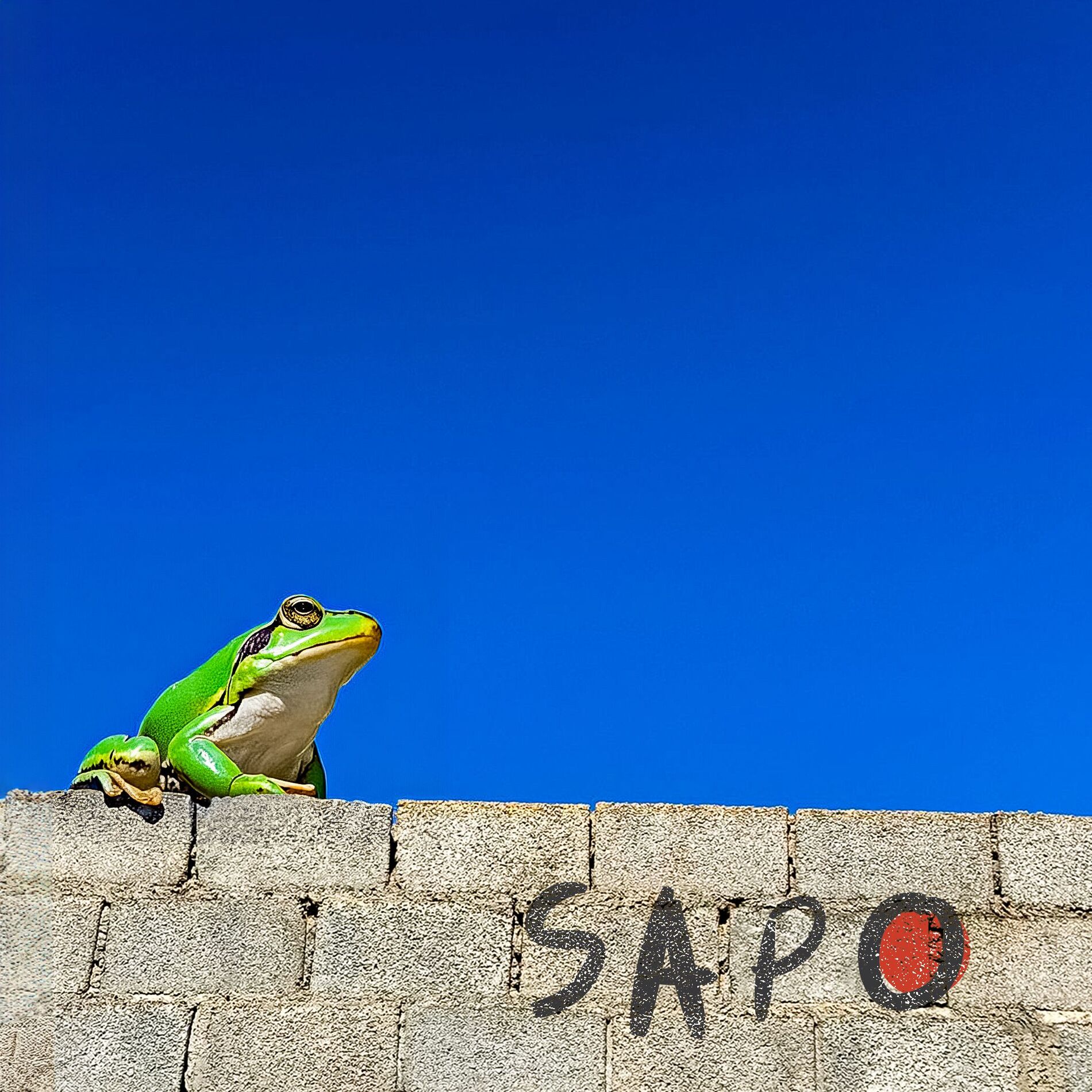Album cover of Já Já